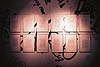 wall