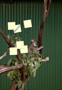 Cairns Tropical Zoo