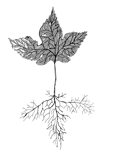 logo löv